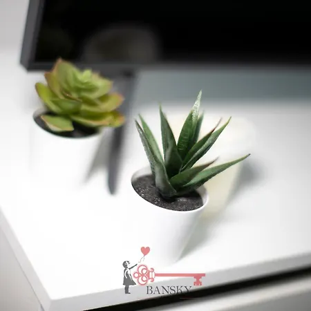 Tiffany's - In Style -by Easylife Swiss