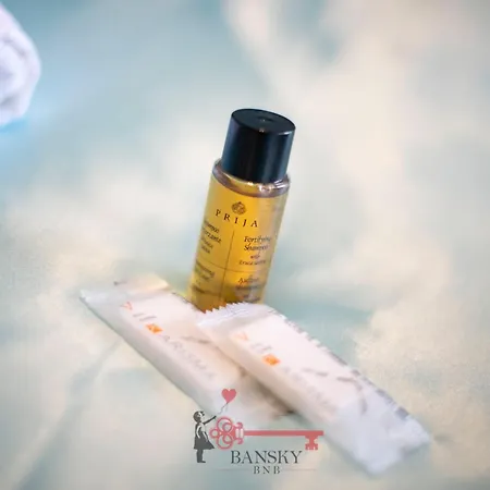 公寓 Tiffany's - In Style -by Easylife Swiss 盧加諾